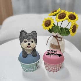 image-4