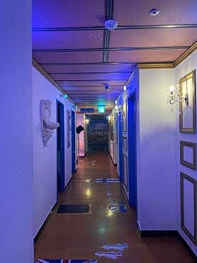 image-4