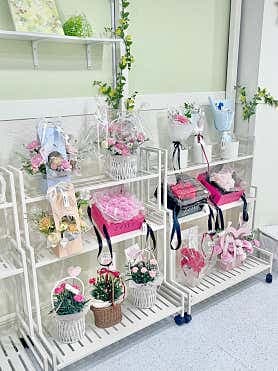 image-3