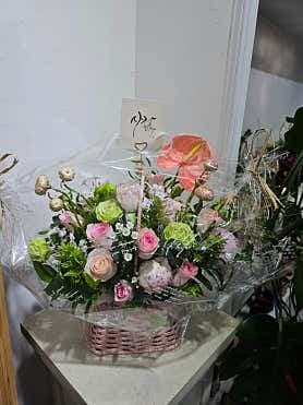 image-4
