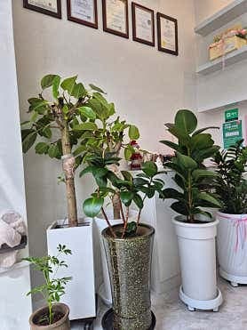 image-2