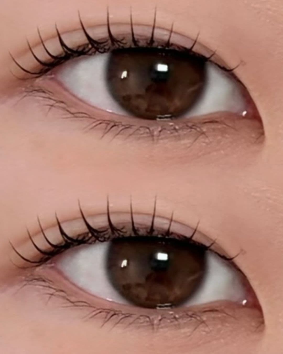 피클브로우 - 네이버지도