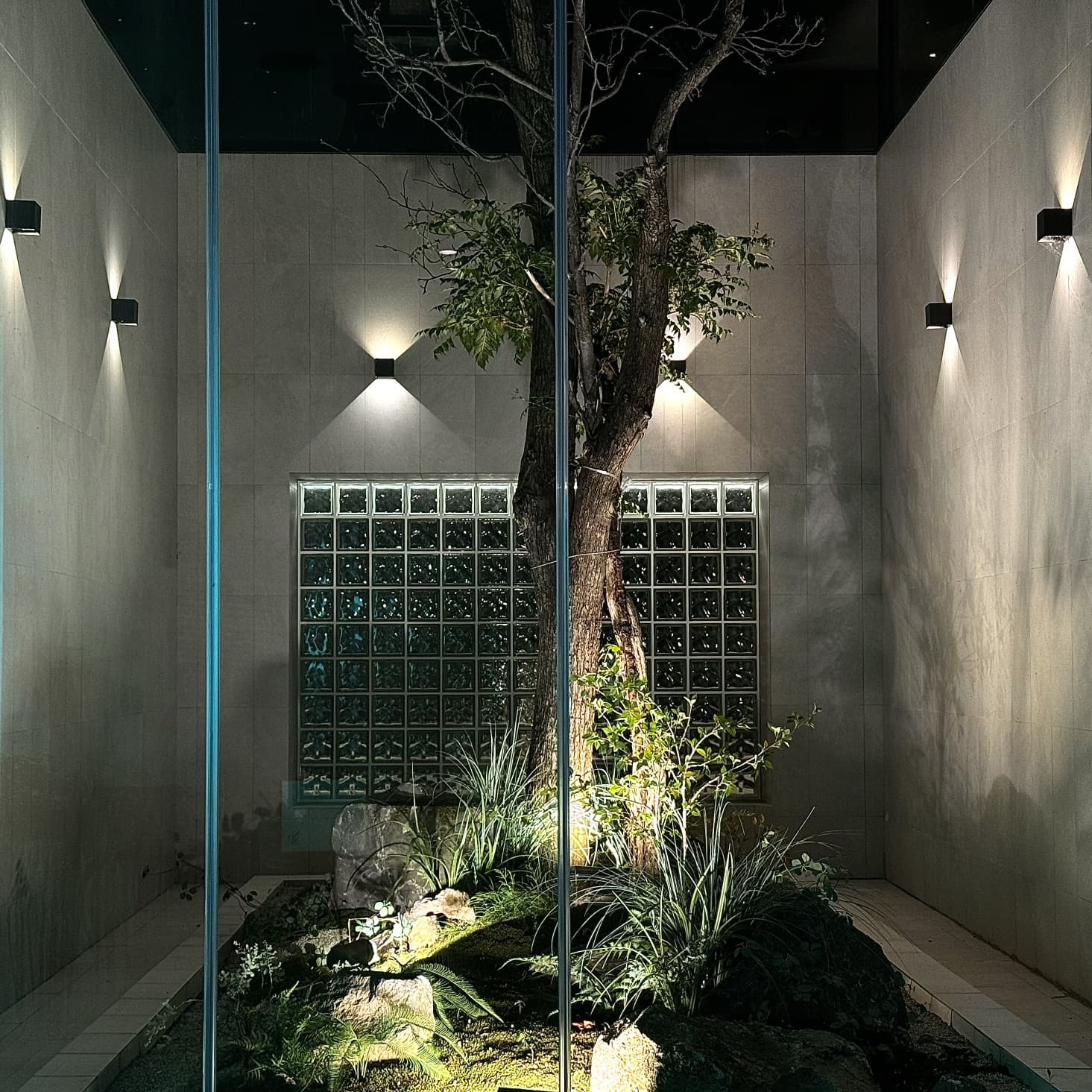 다크 앤 라이트