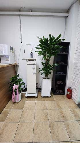image-2