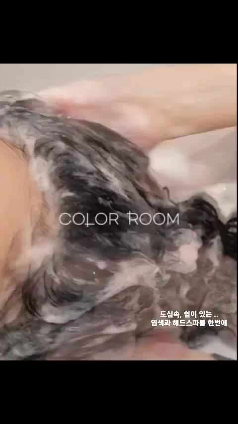 컬러룸 강남구청역점